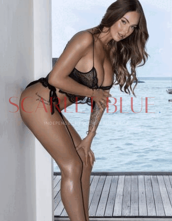 Honey Brooks - Private Escort Touring