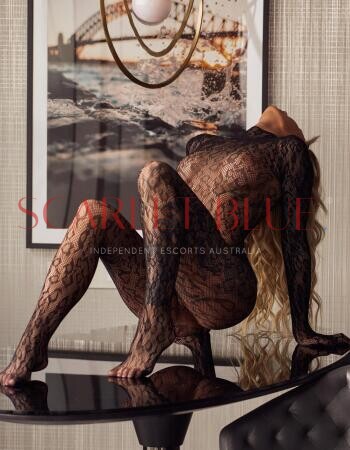 Allie Wylder - Private Escort Maitland