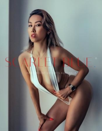 Tommy Kawasaki - Private Escort Gold Coast