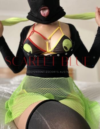 Lil Miss Obedient - Private Escort Touring