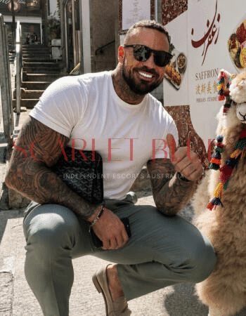 Sebastian Ash - Private Male Escort Touring