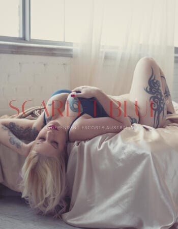 Freya Curvy - Private Escort Touring