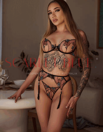 Amari Jade - Private Escort Gold Coast