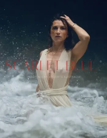 Camvixen - Private Escort International