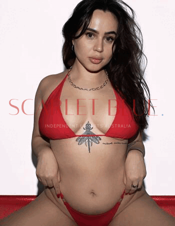 Sasha Engel - Private Escort Melbourne