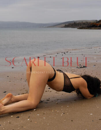 Fae Spice - Private Escort Tweed Heads