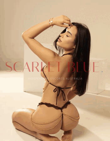 Diana Fox - Private Escort Touring