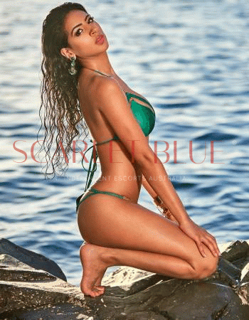 Indian Amira - Private Escort Touring
