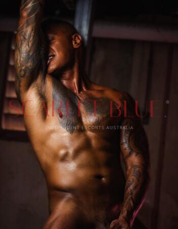Haydn Brown - Private Male Escort Brisbane
