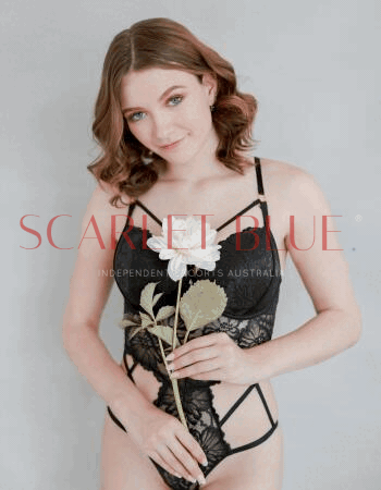 Aussie Addison - Private Escort Maitland
