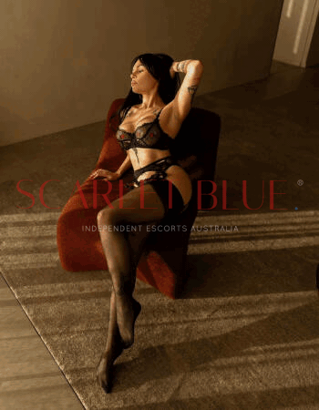Brandi Bardot - Private Escort Melbourne