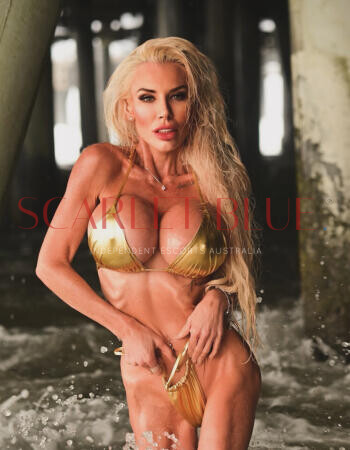 September Summers - Private Escort Touring