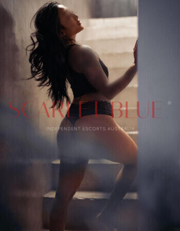 Nikkita - Private Escort Melbourne