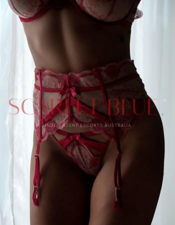 Sloane Voss - Private Escort Brisbane