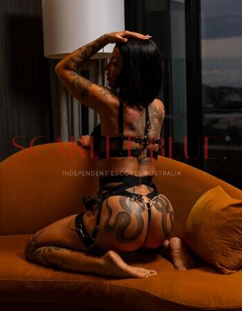 Maddison Luxe - Private Escort Sunshine Coast