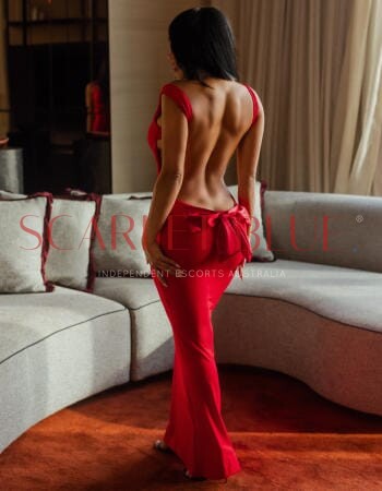 Isla Solis - Private Escort Touring