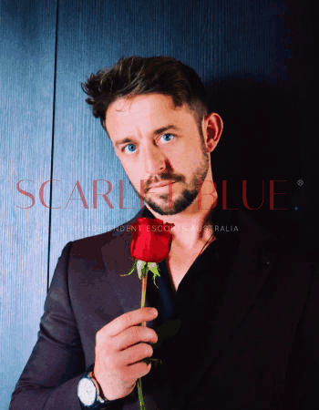 Tommy Hart - Private Male Escort Touring