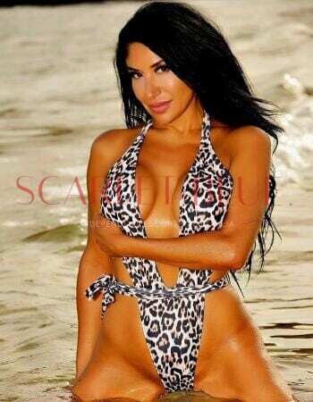 Yasmina Hayek - Private Escort Gold Coast
