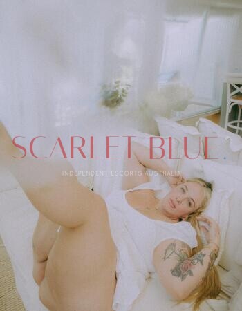 Miss Alice - Private Escort Brisbane