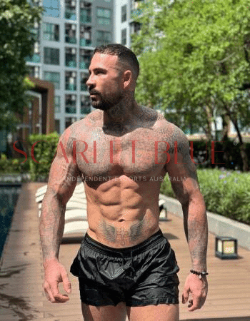 Sebastian Ash - Private Male Escort Touring