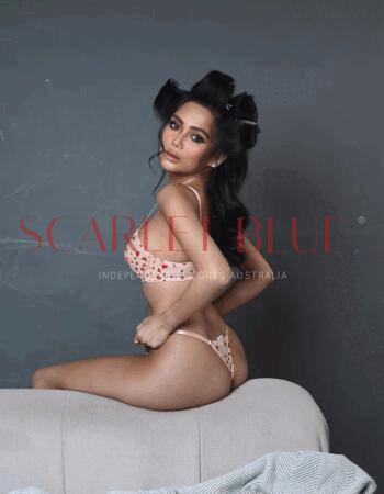 Your Angel Has Arrived - Private Escort Adelaide