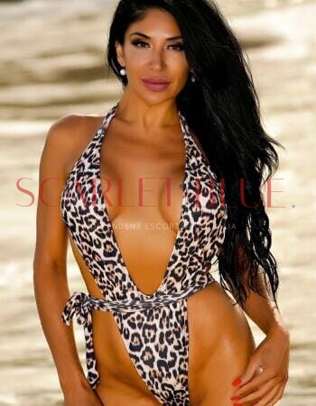 Yasmina World Class Experience - Private Escort Touring