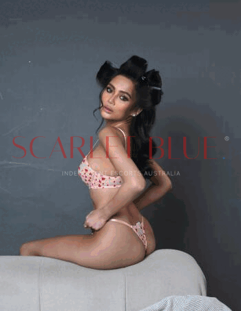 Your Sexy Girl Amelia - Private Escort Gold Coast