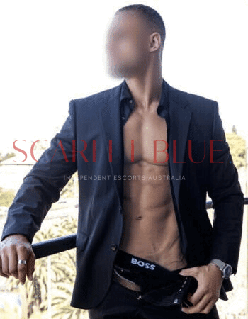 Tyler Grey - Private Male Escort Sydney