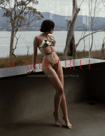 Petra Novak - Private Escort Melbourne