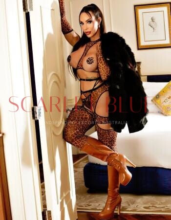 Camy Brazilian Trans - Private Trans Escort Melbourne