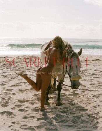 Daria Baby - Private Escort Gold Coast