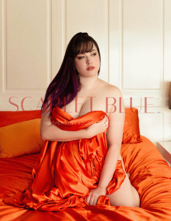 Holly Harte - Private Escort Canberra
