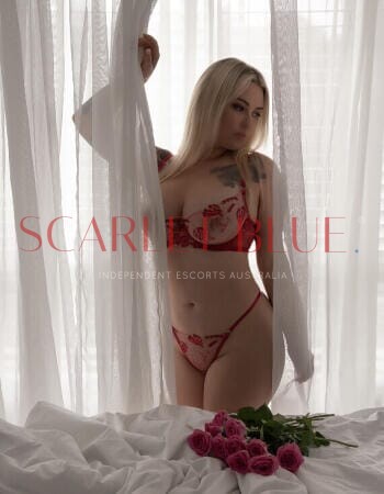 Frankie Gray - Private Escort Gold Coast