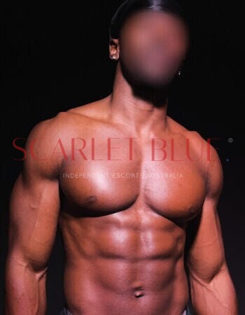 Carlton Ty - Private Male Escort Melbourne