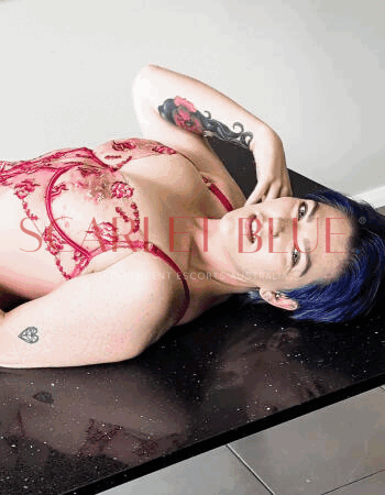 Miss Ashley Stafford - Private Escort Newcastle