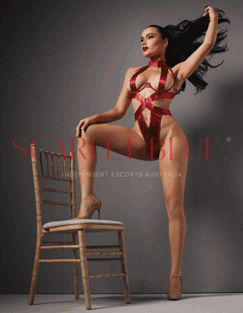 Diana Fox - Private Escort Melbourne