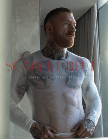 Ryan Smooth - Private Male Escort Touring