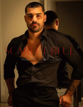 Nick Bronson - Private Male Escort Touring